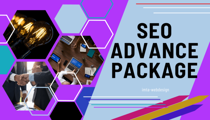 Seo Advance Package